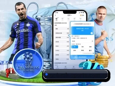 mk体育网址 APP 界面