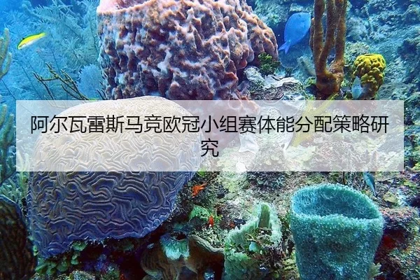 a-er-wa-lei-si-ma-jing-ou-guan-xiao-zu-sai-ti-neng-fen-pei-ce-lve-yan-jiu-3-577.jpg