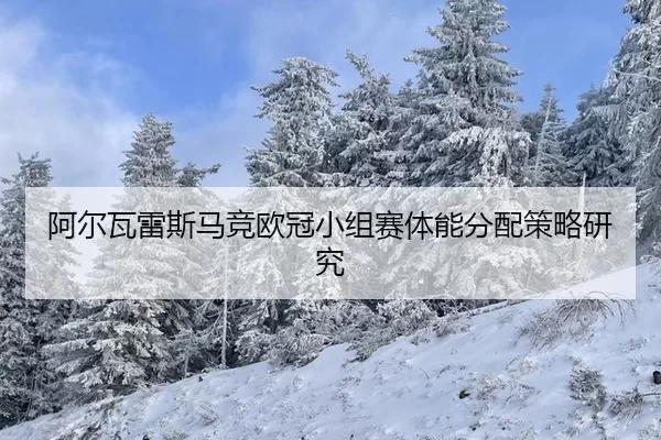 阿尔瓦雷斯马竞欧冠小组赛体能分配策略研究