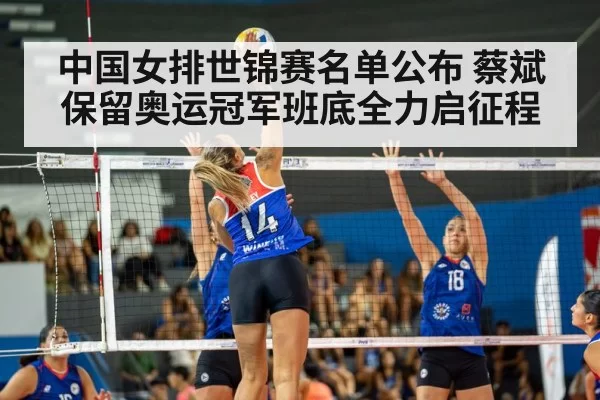 volleyball match action